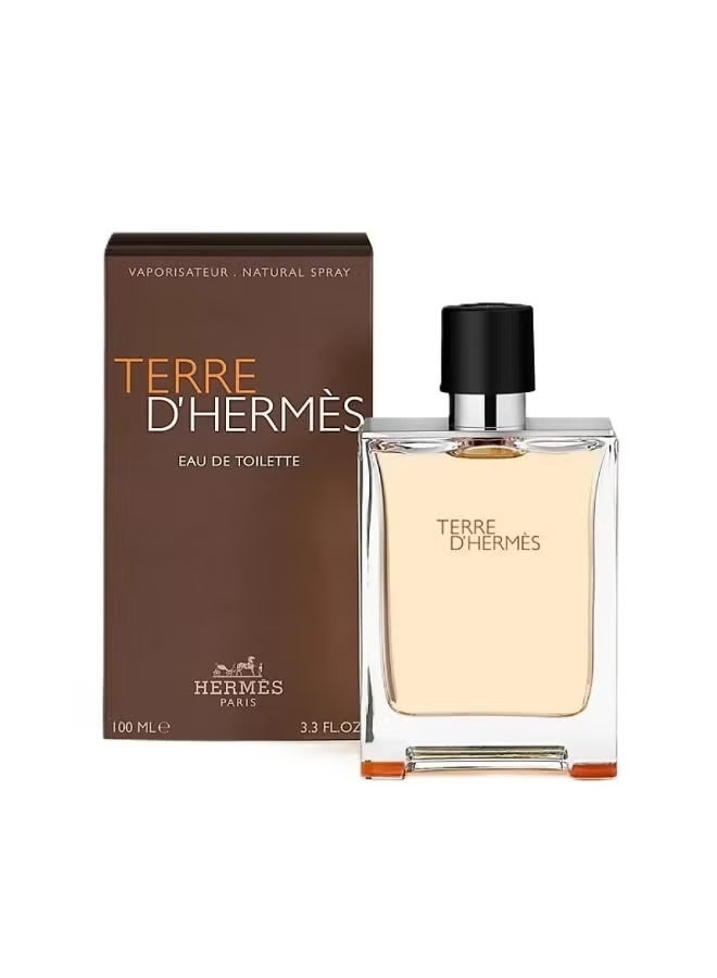 Hermes Terre d'Hermes Eau de Toilette 100ml